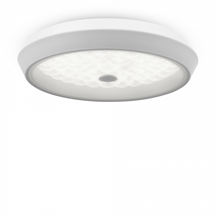 Светильник Freya FR10012CL-L24W
